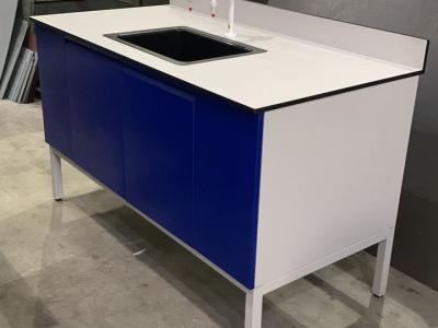 Laboratory Sink Workbench