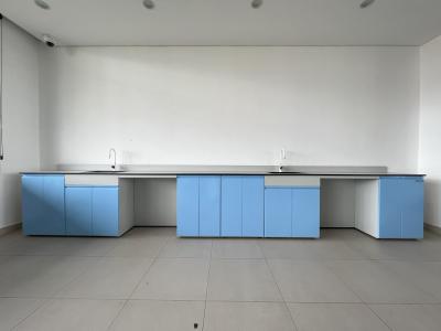 Laboratory Wall Bench